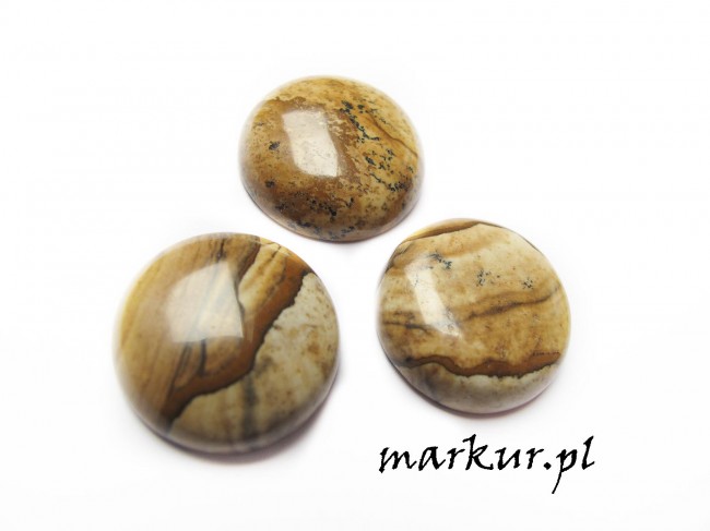 Jaspis krajobrazowy kaboszon moneta 25 mm 