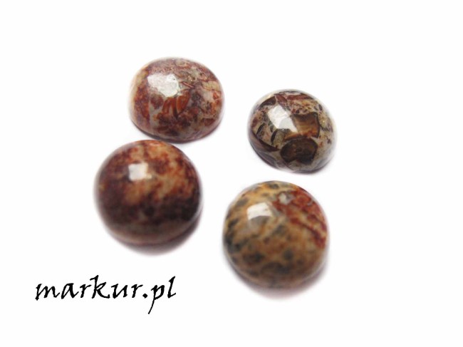 Jaspis leopardzi czerwony kaboszon moneta 12 mm 