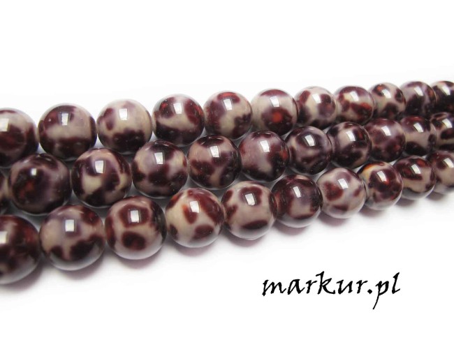 Muszla rekonstruowana plamista kula 16 mm sznur (1)