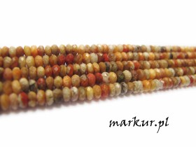 Obrazek dla: Koral skamieniały fasetka oponka 2/3 mm sznur